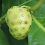 NONI